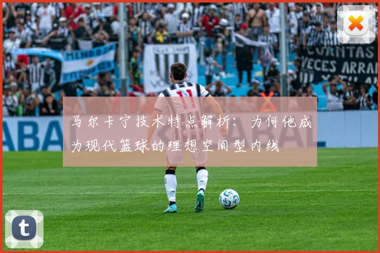 马尔卡宁技术特点解析：为何他成为现代篮球的理想空间型内线